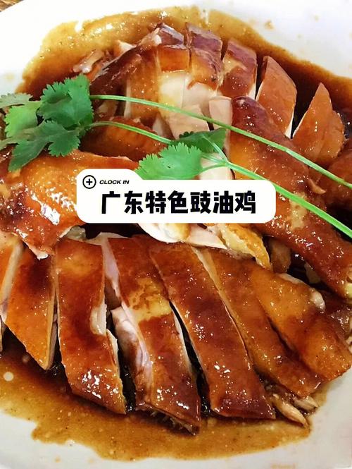 豉油鸡是一道色香味俱全的汉族名菜,属于粤菜系.