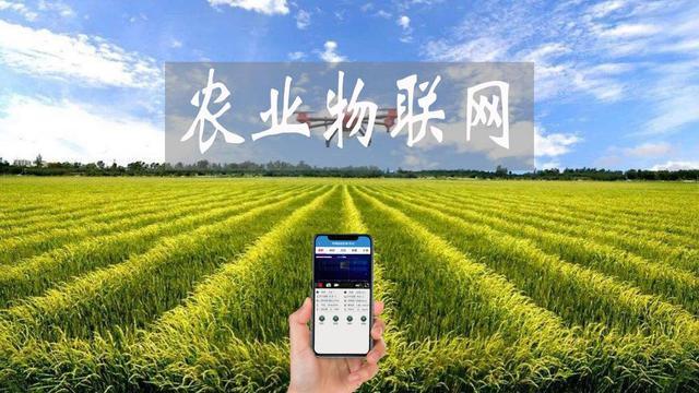 五大农业物联网应用方案,手机电脑远程控制,走向智慧农业