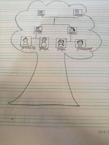 3下英语家庭树作业展