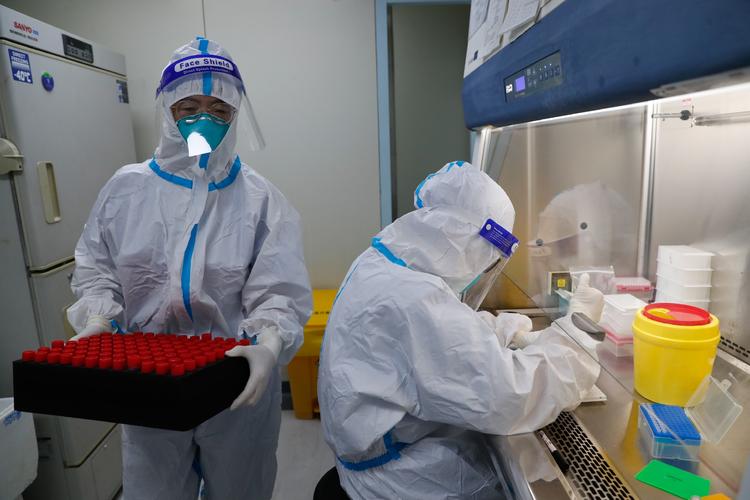 北京大学首钢医院核酸检测实验室,医护人员在实验室内忙碌工作