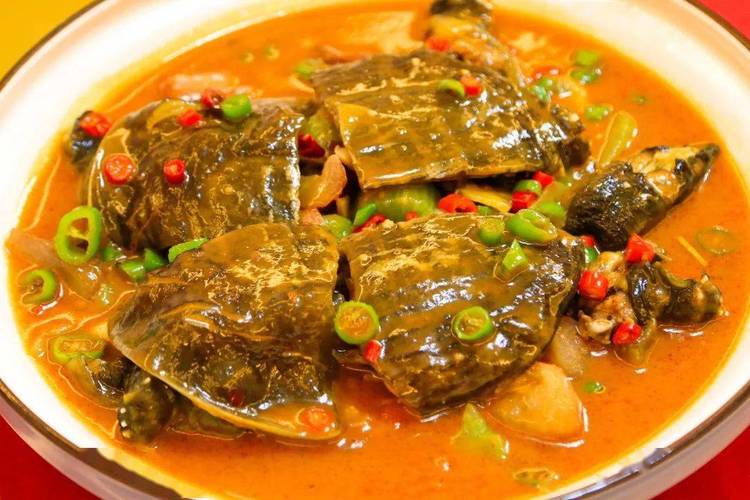现做的野生甲鱼湘菜中的经典—红煨甲鱼这可都是一般店吃不到的硬菜哦
