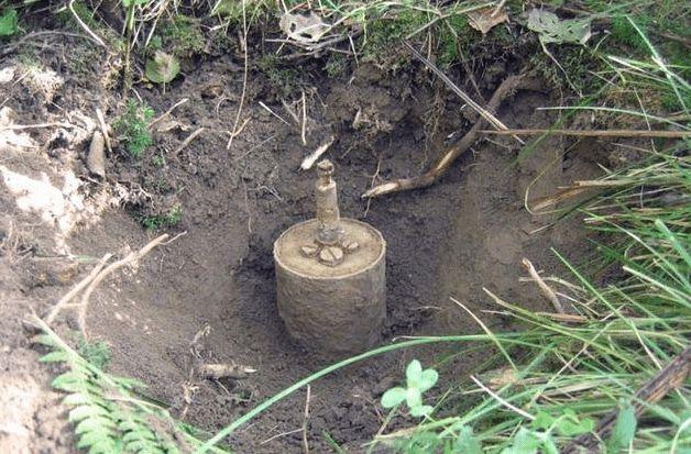 二战后全球埋有1亿颗地雷,人工清理需4000年,今被一种老鼠搞定
