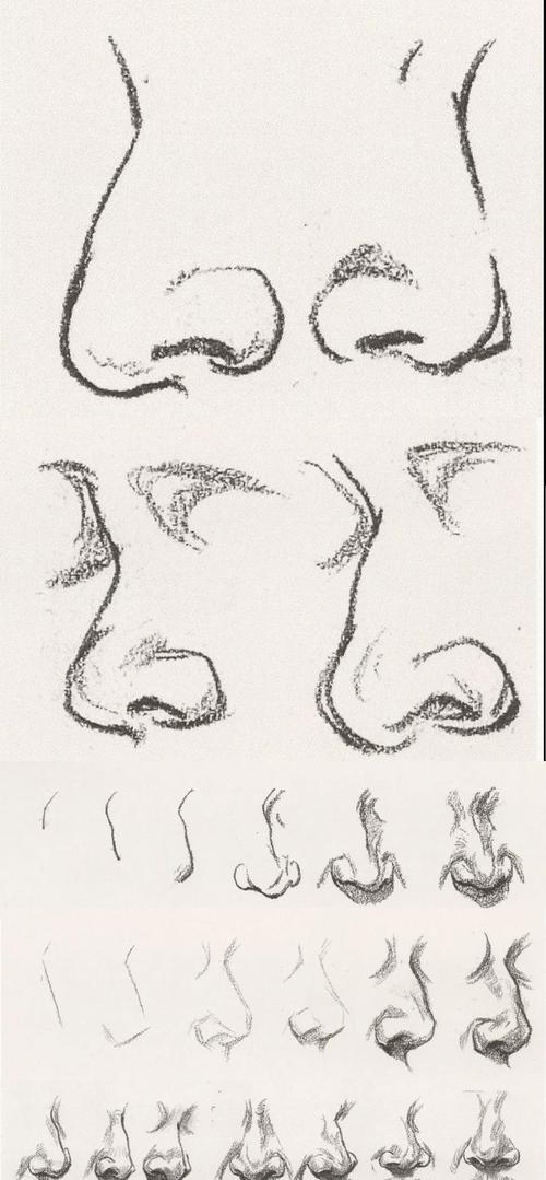 速写五官局部眼睛耳朵鼻子嘴巴头发头部画法