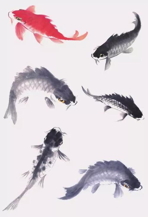 国画教程五种常见的鱼类画法图解讲解