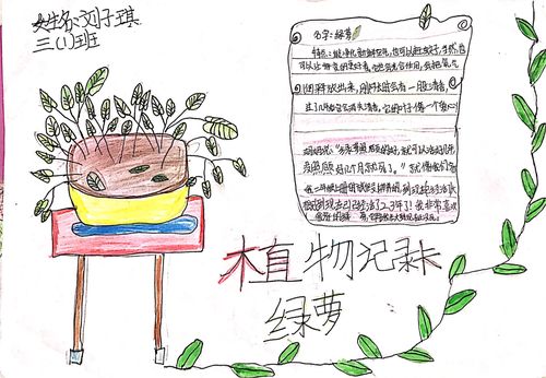 长沙县中南第二小学三一班《我来做记录卡》—观察动植物(指导老师