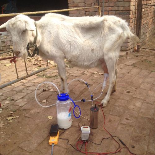 电动小型挤羊牛奶器吸羊奶机器家用羊牛用挤奶器4斤装2l3l脉冲