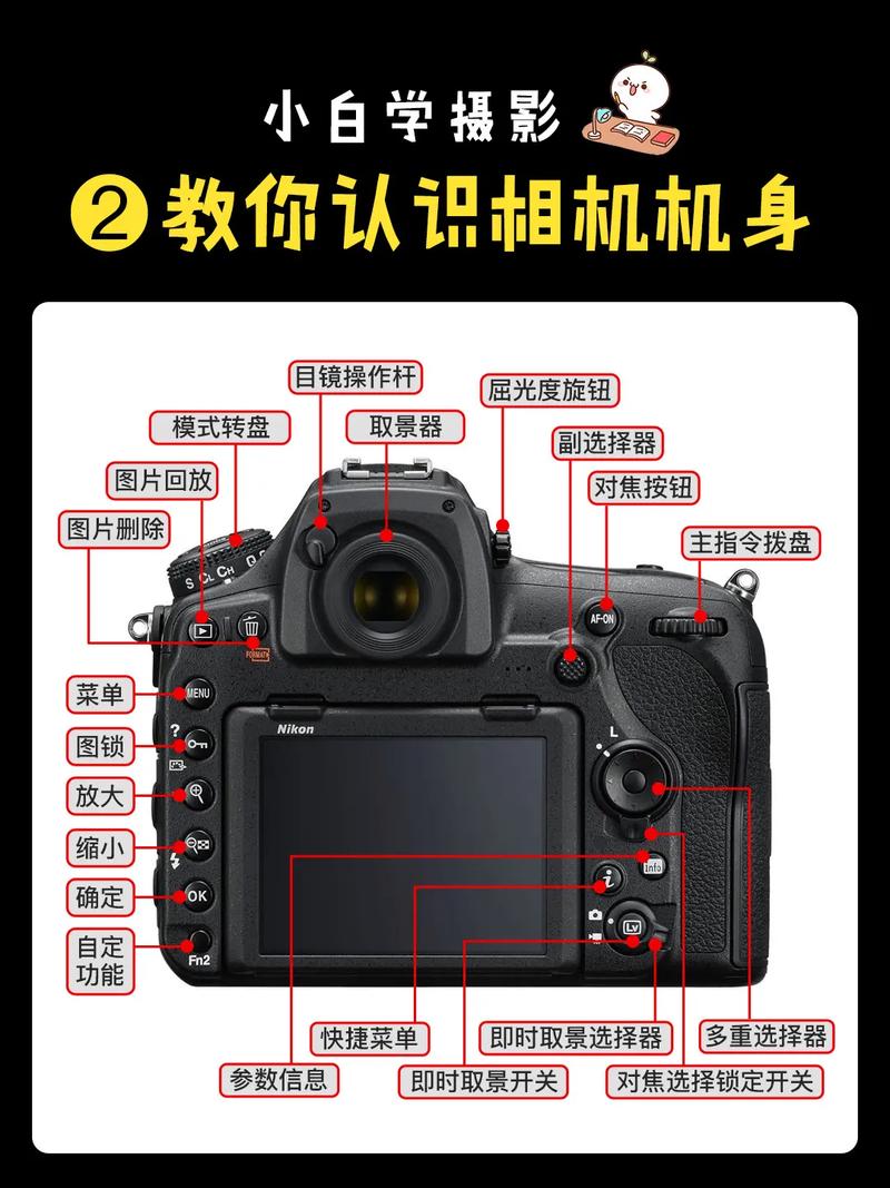 01566基础学摄影77相机按钮功能总结7815.
