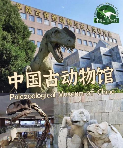 我的博物馆日记 | 寻找消逝的古动物王国|恐龙|化石|古生物|中国古