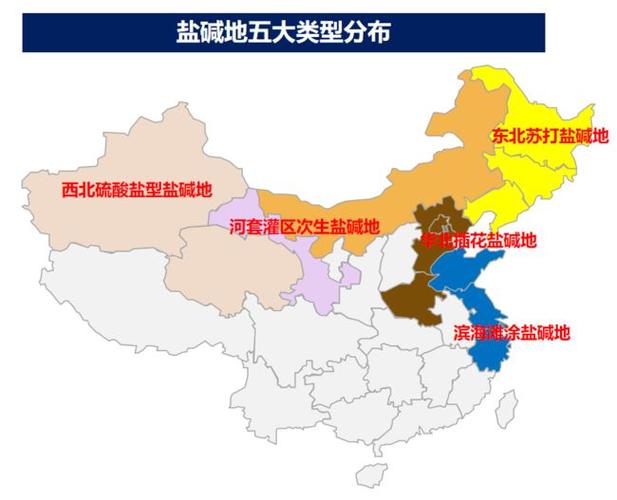 根据《国家地理》杂志的报道,中国的盐碱地主要分布在祖国大陆的西北
