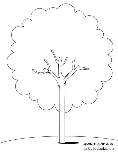 儿童简笔画大全:树的简笔画