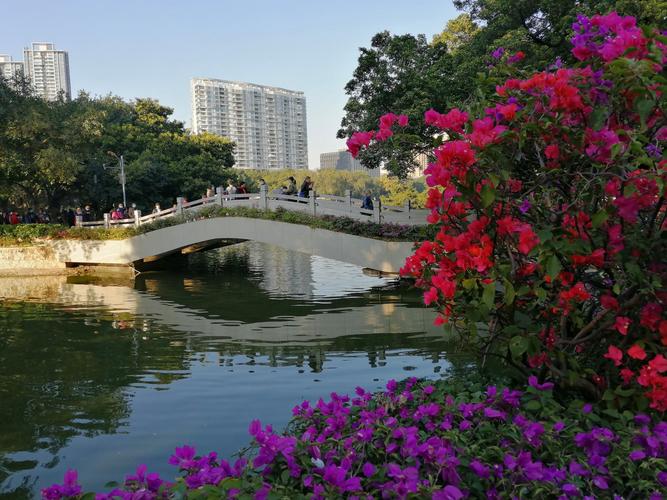 美丽的广州流花湖公园掠影(2021年元月手机摄影)