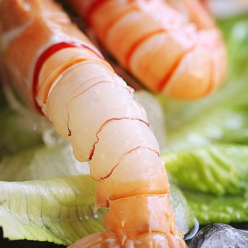 海龙虾深海3斤海鳌虾龙虾尾装海鳖虾海虾海鲜水产鲜活生鲜龙虾
