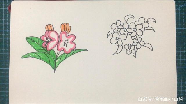 海棠树简笔画颜色
