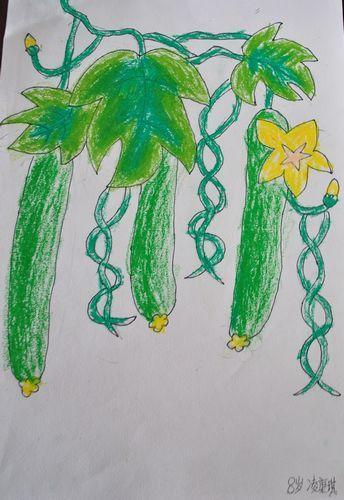夏天的植物简笔画黄瓜