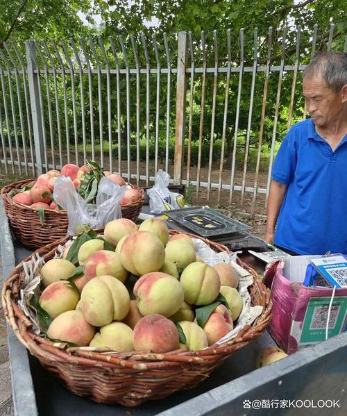 越南人为何特别喜欢吃桃子?