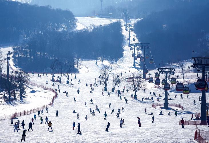 游客在吉林万科松花湖度假区滑雪 来源:新华社
