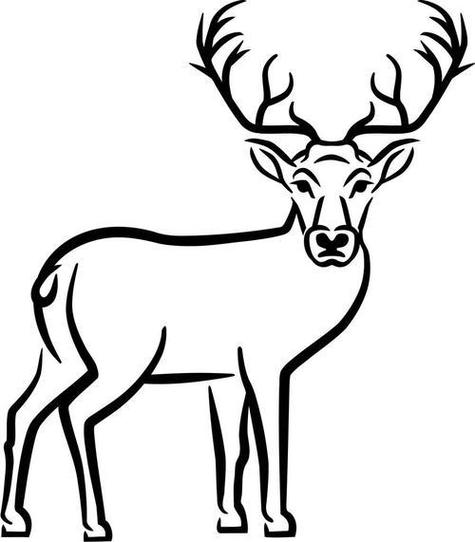 野生动物简笔画鹿