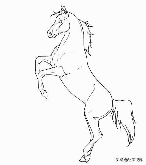从造型到线条,10种马的画法高清线稿教你画,快临摹