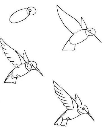 鸟儿的简笔画教程素材分享鸟儿主题线描简笔画飞翔小鸟的简笔画图片