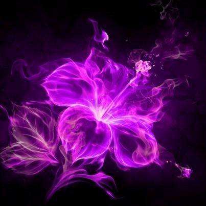 紫色火