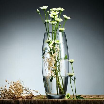 进口玻璃瓶水培植物容器绿萝养花花瓶干花插花客厅摆件装饰花盆