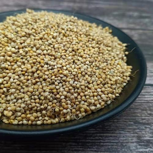谷芽500g克包生谷另有麦芽稻芽小米米芽中药材其他药食同源食品