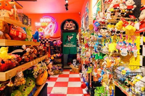长沙这家"奇怪"的玩具店,专门贩卖成年人的可爱.