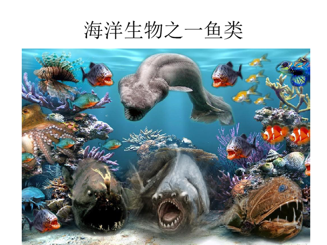 8做做海洋生物课件28张幻灯片