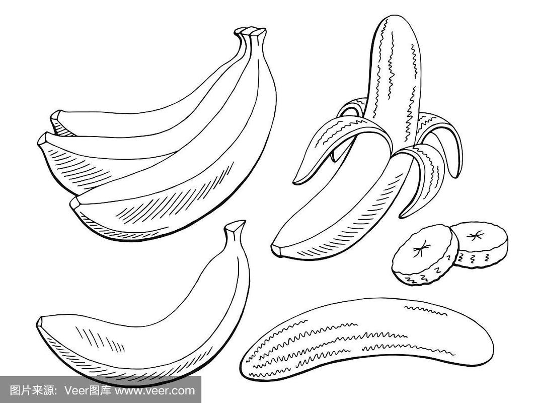 香蕉水果图形黑白孤立素描插图向量