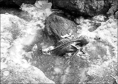 在山上的冰川中,他们发现了一句干瘪的尸体,并且被封印到了冰川中,两