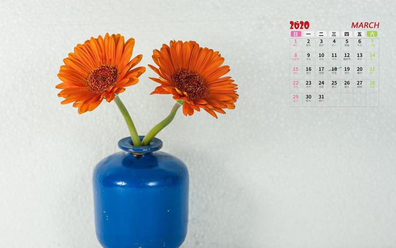 2020年3月简约花瓶写真日历,月历壁纸-回车桌面