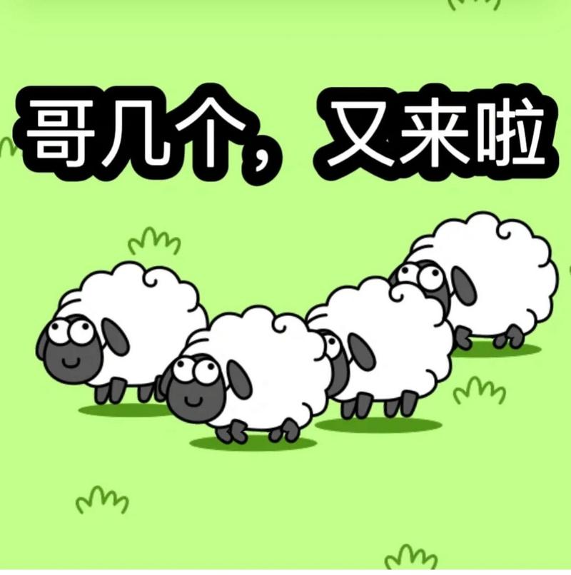 羊了个羊表情包合集 第一关羊了个羊 第二关娘了个娘