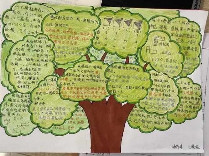 知识树上智慧果稼轩初一数学组开展美丽的知识树绘制活动