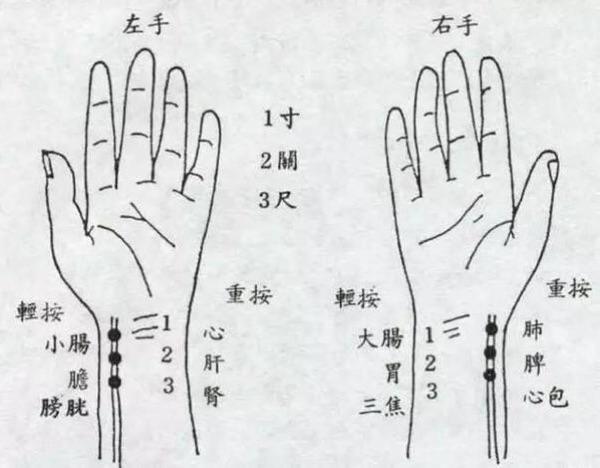 摸脉时,三个指头轻按与重按,提示的部位和疾病也不同!