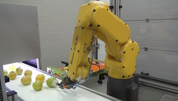 工厂实拍,智能机械臂是如何分拣青苹果的?