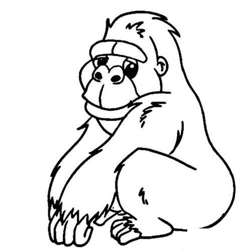 大猩猩的画法简笔画