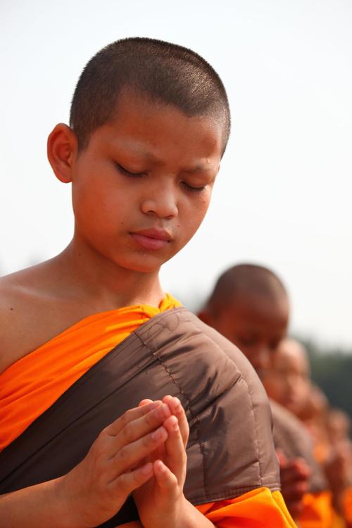 佛教徒,和尚,儿童,祷告,佛教,祈祷,步行