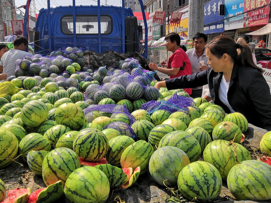 国庆节小长假,农村男子卖西瓜,日销1300斤,猜猜能赚多少钱?