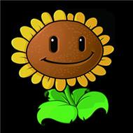植物大战僵尸向日葵头像图片大全可爱的卡通向日葵
