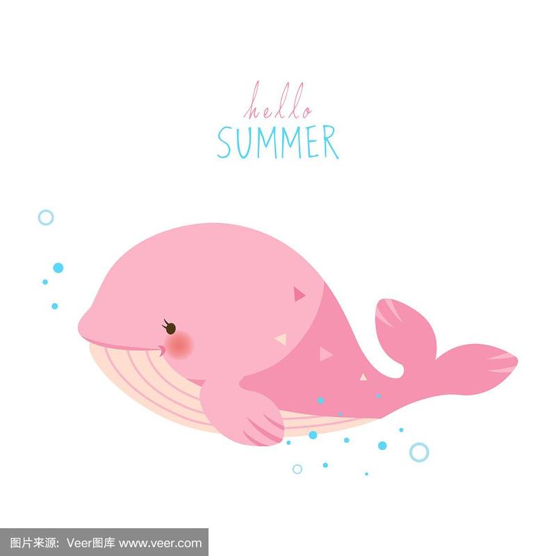 可爱的粉色鲸鱼在白色的背景