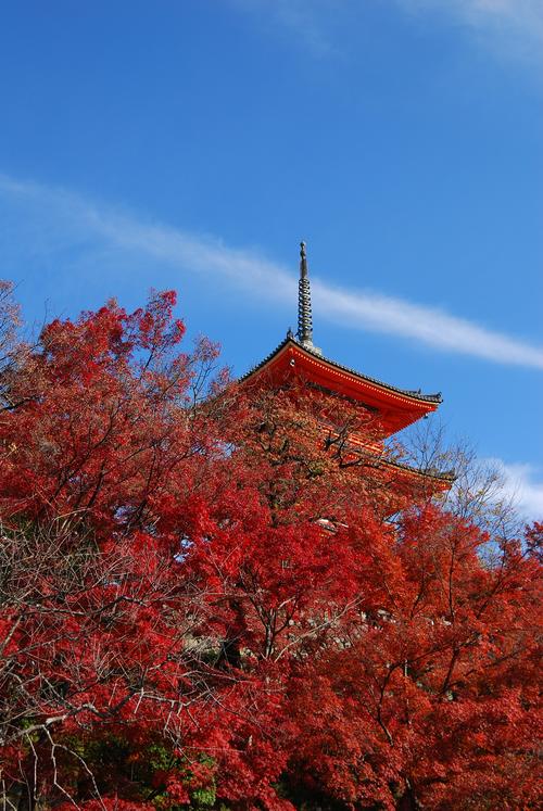 京都清水寺 红叶 山 寺庙