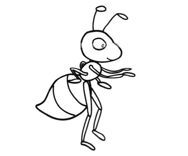 可爱的蚂蚁简笔画