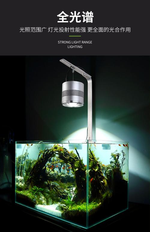鱼缸led全光谱水草灯专业造景照明灯吊灯小型筒灯草缸灯夹灯防水