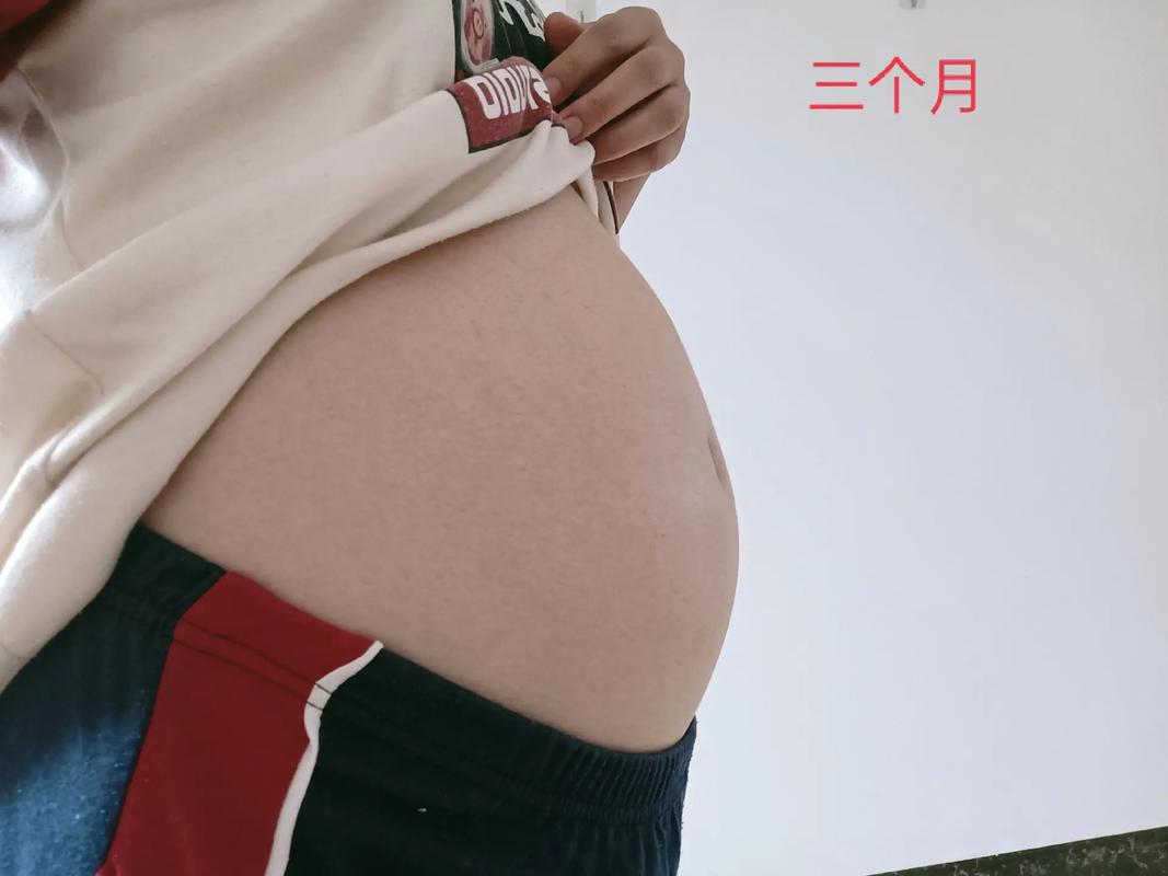 怀孕3-10月肚子变化图.从怀孕三个月开始记录每个月肚子的变 - 抖音