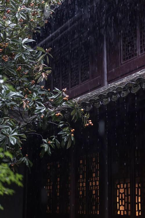 雨中的南京太可了