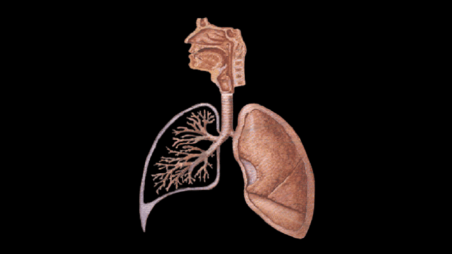 老戏骨张少华因该病去世慢性肺阻是如何阻塞你的呼吸的