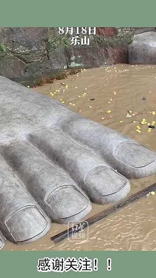 8月18日,乐山大佛首次被洪水淹至脚趾!