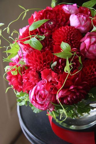 dahlia and rose | flower arrangements | pinterest