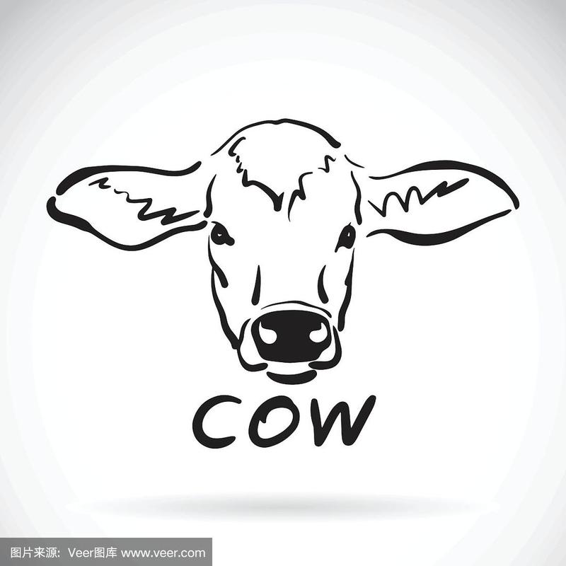 矢量手绘一个牛头在白色的背景.动物d