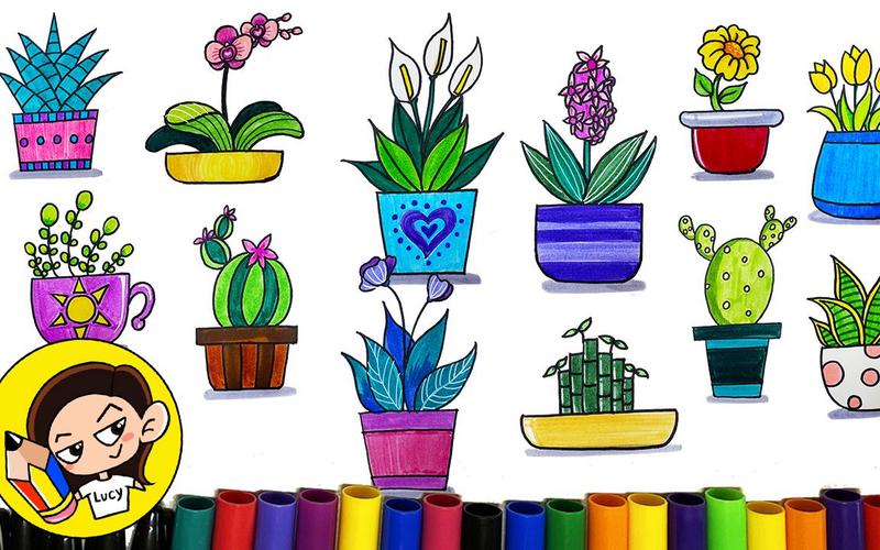 to draw plants step by step|drawing of 12 types plants|简笔画